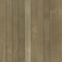 XCORA OPEN RANGE - Teragren